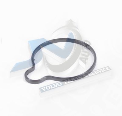 Vacuum pump gasket for Volvo 8658101